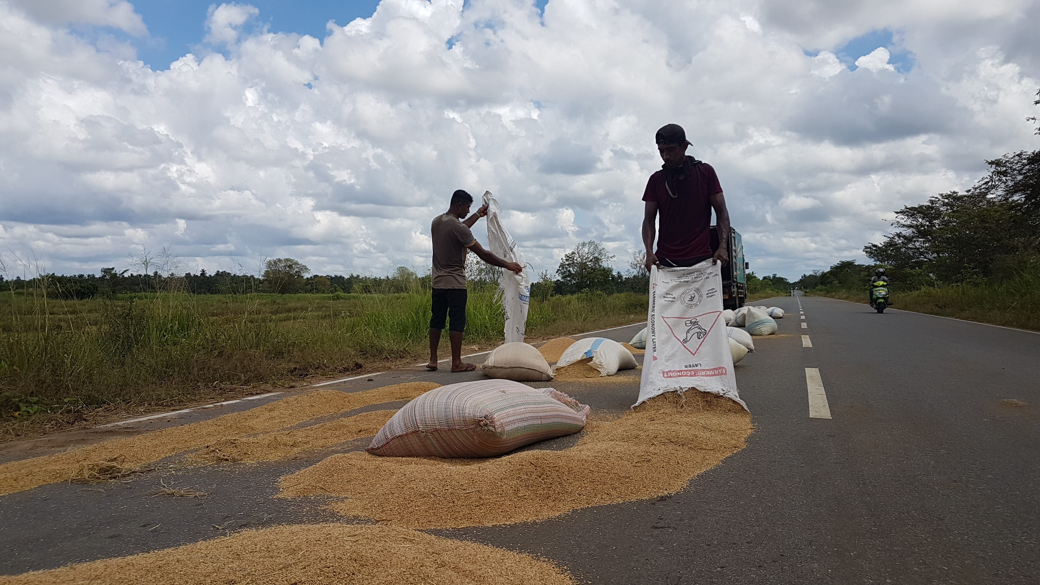 “We are sure of our rice. They say CKDu, ask us to grow organic and then import rice from other countries. Do we know if that rice is organic? No, we don’t know. Our fathers also died of CKDu, but we know it doesn’t come only from the fertiliser. But I suppose in these times, it would be better to die of CKDu than die of hunger.”