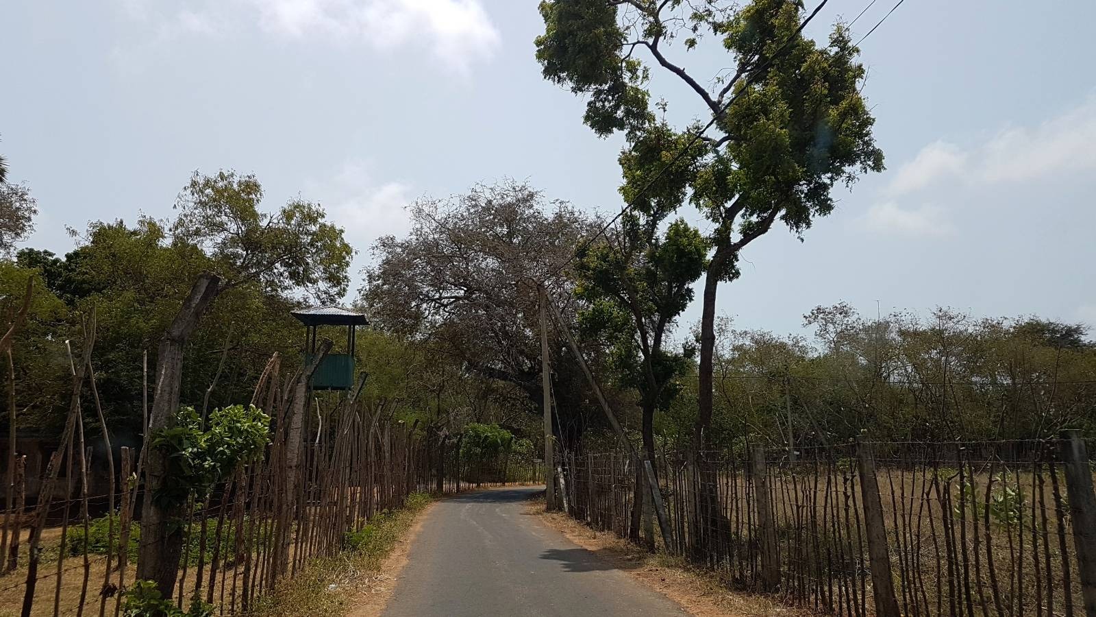 “On our lands that are now inside the Army camp, are trees we used to care for and gardens we cultivated. We plucked and ate from them. We can survive this crisis if we had those trees to live off, if we had our land back.”